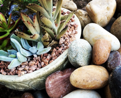 I continue to pursue&nbsp;purpose.